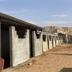 إيواء الخيل