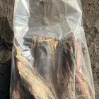 حطب مستورد افريقي