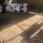 للبيع حمام