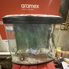 للبيع حوض سمك جديد لم يتسخدم