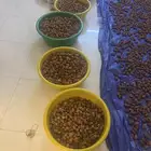 تمر سكري فاخر