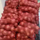 توزيع خضار مطاعم محلات