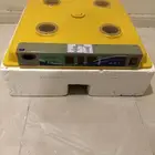 فقاسه 98 بيضه