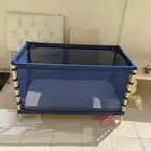 الجموم