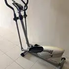 الغزال الطائر