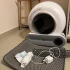 مستلزمات قطط
