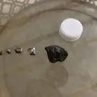 حجر يمسك المغناطيس بقوه