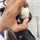 عنزي عارضيه