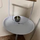 للبيع ستاند طيور
