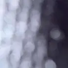 مطلوب ددسن اقصد