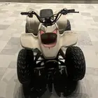 دباب لون ابيض
