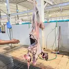 ذبيحتك لباب البيت