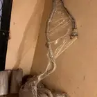 كت موبر