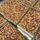 للبيع تمر سكري القصيم فاخر بالرياض