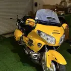 قولد وينق رحال 2009