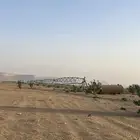 مزرعه للايجار محور رشاش خمس ابراج ارض زراعيه (الموقع برك