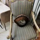 شارع حراء بجوار فندق سويس بلو