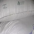 بذور ملوخية التواصل اتصال على الرقم