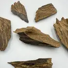 كلمنتان محسن