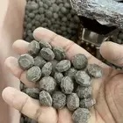 عود البيت فراشه مميز جدا