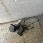 بوري هرن للبيع يركب في اي سيارة