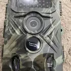 كاميرات رصد للحيوانات