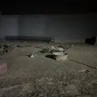 أرانب للبيع