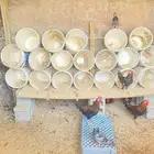 دياكه البيع العدد 8