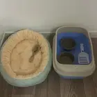 مستلزمات قطط