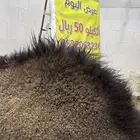 حاشي بلدي من البر  إليكم عمره (8) والطعم تحدي لا يفتك العرض