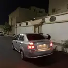 شفر افيو 2013