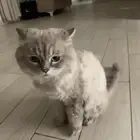 بسه للتبني ولد عمره تقريبا  سنتين