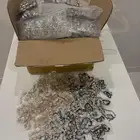 أساور صدف طبيعي بلونين أسود و ابيض