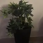 شجره صناعية حلوه للاثاث المرتب