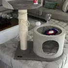 بيت للقطط