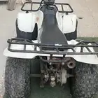 دباب سزوكي