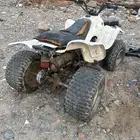 دباب سويدي