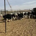 بهم نجد