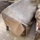 جلسات شعبية مستعملة
