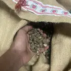 اليسر للبيع لا يجي الا الصامل