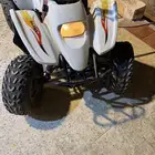 دباب سويدي