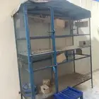 شبك انتاج طيور