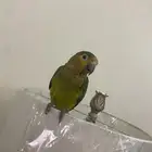 مكة المكرمة