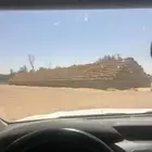 تبن قمح