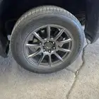 جنوط رايز و كفرات سييرا