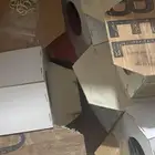 أعشاش زيبرا العدد 50