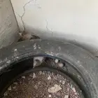 سمان ست حبات على السوم و ودجاج سبع اثنين ذاكر و وخمس دجاج