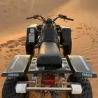 بانشي اسود خرط 75 بلد