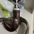 جنبيه طيبه جديدة