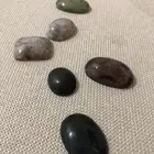 المدينه حي البدراني